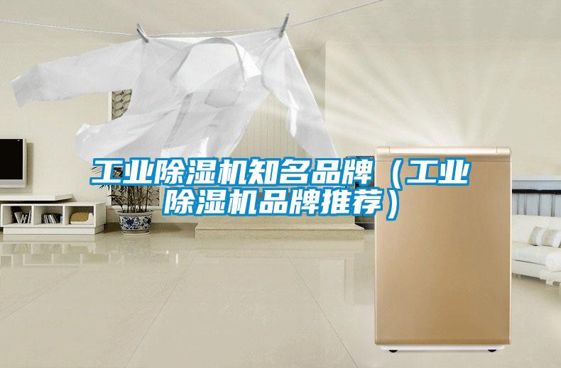 工業(yè)除濕機(jī)知名品牌（工業(yè)除濕機(jī)品牌推薦）