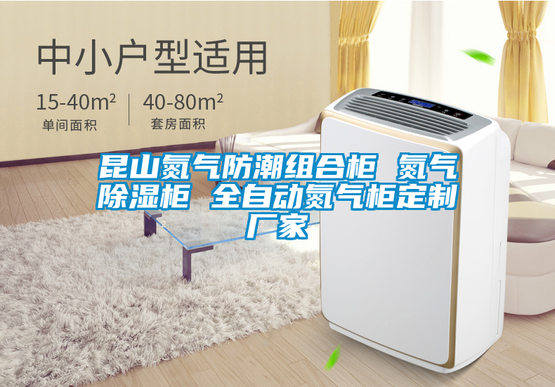 昆山氮?dú)夥莱苯M合柜 氮?dú)獬凉窆?全自動(dòng)氮?dú)夤穸ㄖ茝S家