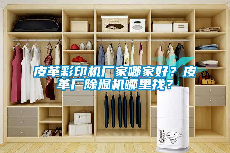 皮革彩印機廠家哪家好？皮革廠除濕機哪里找？