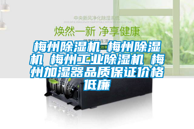 梅州除濕機☆梅州除濕機☆梅州工業(yè)除濕機☆梅州加濕器品質(zhì)保證價格低廉