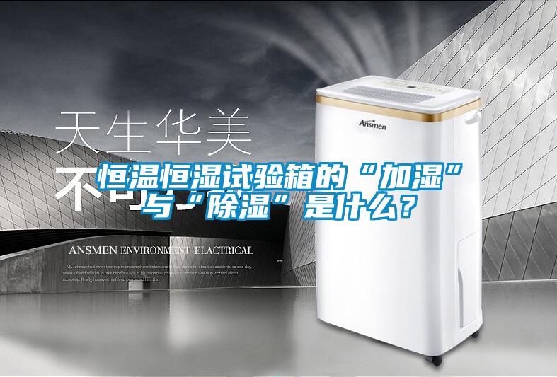 恒溫恒濕試驗箱的“加濕”與“除濕”是什么？