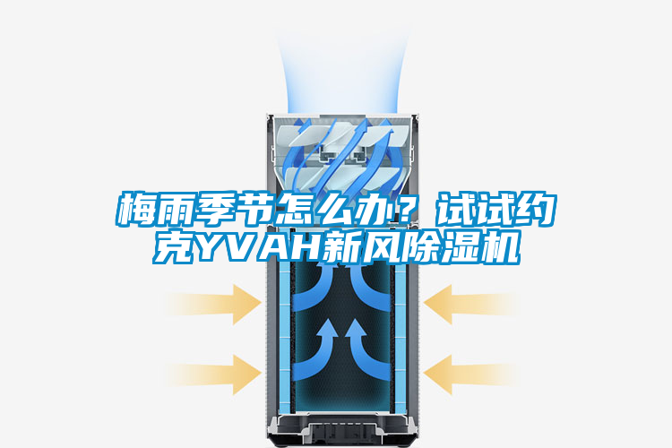 梅雨季節(jié)怎么辦？試試約克YVAH新風除濕機