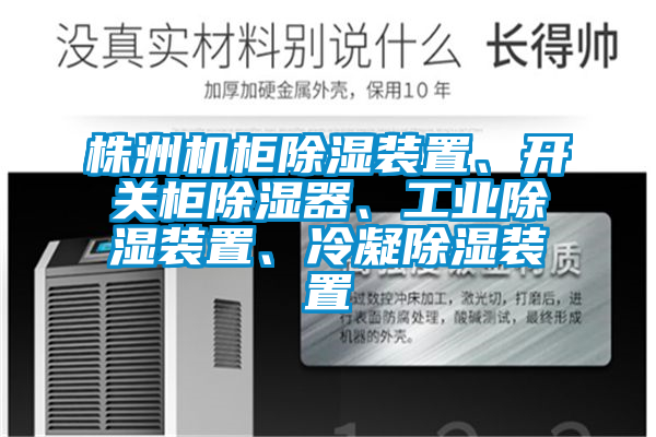 株洲機(jī)柜除濕裝置、開(kāi)關(guān)柜除濕器、工業(yè)除濕裝置、冷凝除濕裝置