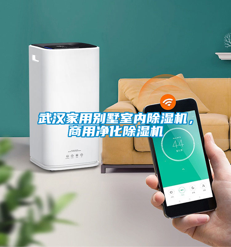 武漢家用別墅室內(nèi)除濕機(jī)，商用凈化除濕機(jī)