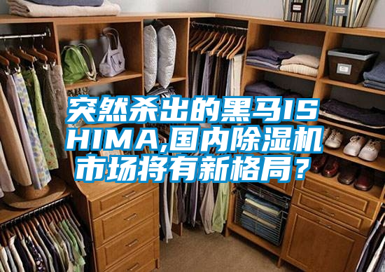 突然殺出的黑馬ISHIMA,國(guó)內(nèi)除濕機(jī)市場(chǎng)將有新格局？