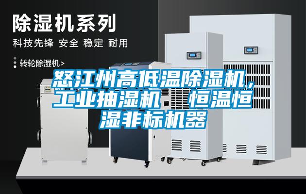 怒江州高低溫除濕機，工業(yè)抽濕機  恒溫恒濕非標(biāo)機器