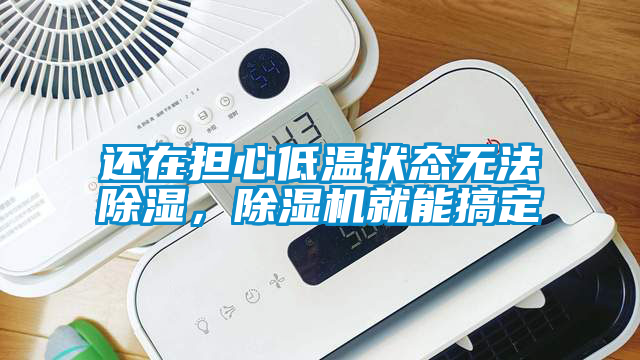 還在擔(dān)心低溫狀態(tài)無(wú)法除濕，除濕機(jī)就能搞定