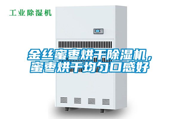 金絲蜜棗烘干除濕機，蜜棗烘干均勻口感好