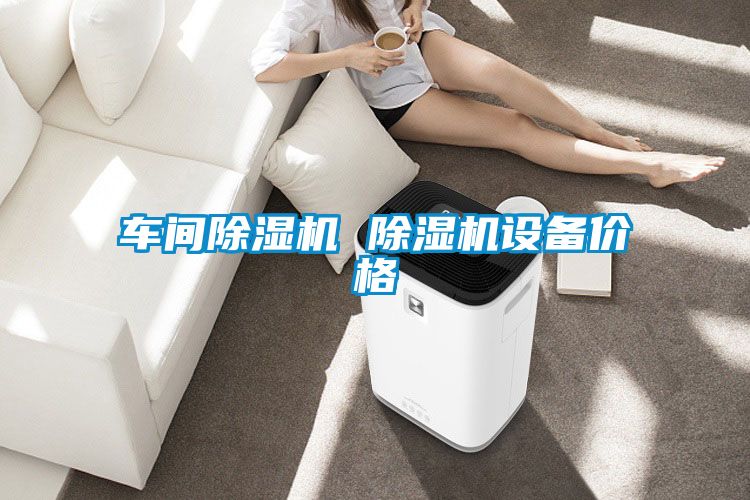 車間除濕機(jī) 除濕機(jī)設(shè)備價(jià)格