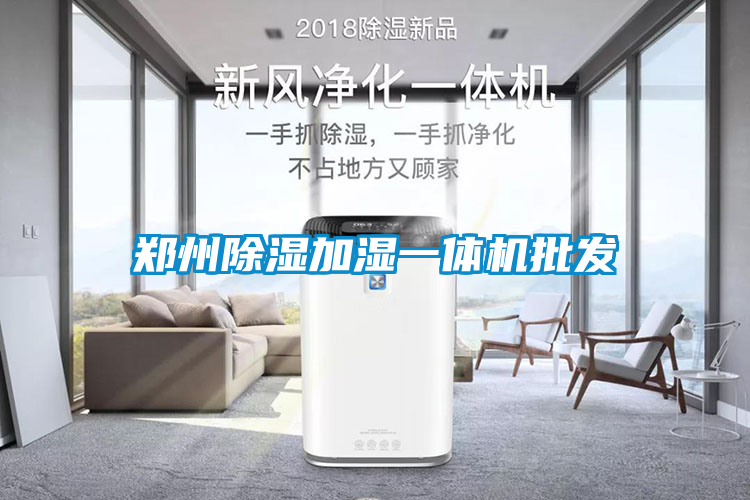 鄭州除濕加濕一體機批發