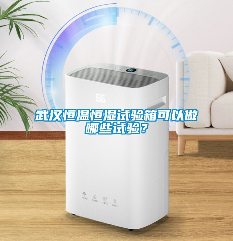 武漢恒溫恒濕試驗箱可以做哪些試驗？