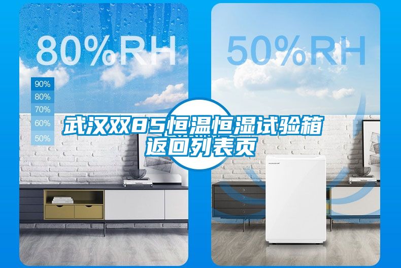 武漢雙85恒溫恒濕試驗(yàn)箱 返回列表頁