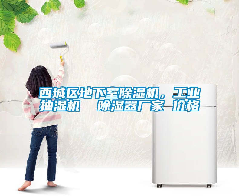 西城區(qū)地下室除濕機，工業(yè)抽濕機  除濕器廠家 價格