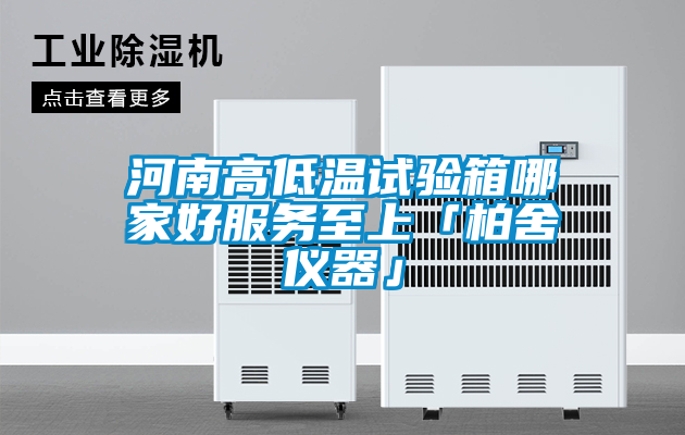 河南高低溫試驗箱哪家好服務(wù)至上「柏舍儀器」