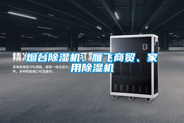 煙臺除濕機(jī)、雁飛商貿(mào)、家用除濕機(jī)