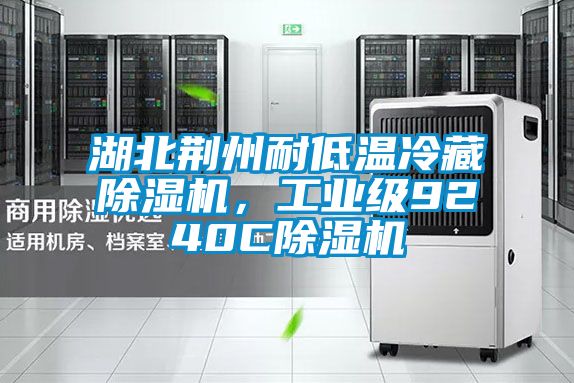湖北荊州耐低溫冷藏除濕機(jī)，工業(yè)級9240C除濕機(jī)