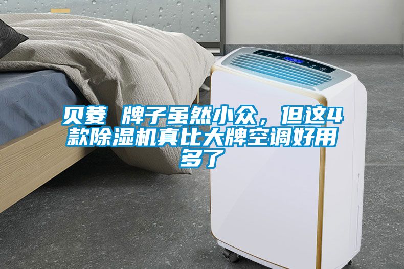 貝菱 牌子雖然小眾，但這4款除濕機真比大牌空調好用多了