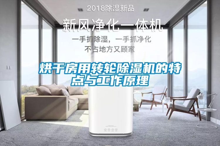 烘干房用轉(zhuǎn)輪除濕機(jī)的特點(diǎn)與工作原理