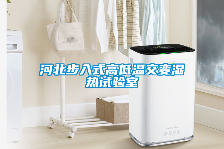 河北步入式高低溫交變濕熱試驗室