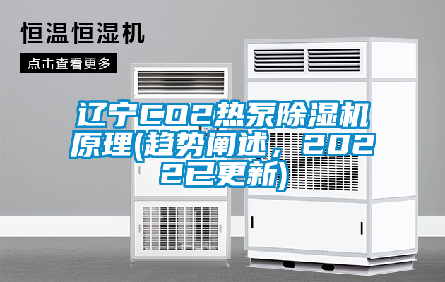 遼寧CO2熱泵除濕機原理(趨勢闡述，2022已更新)