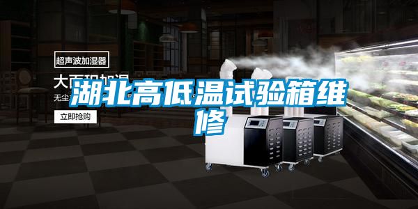 湖北高低溫試驗箱維修