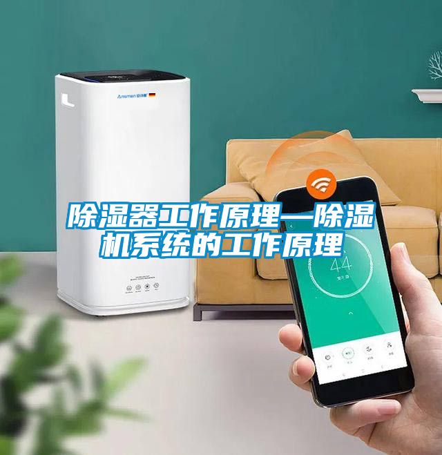 除濕器工作原理—除濕機系統(tǒng)的工作原理