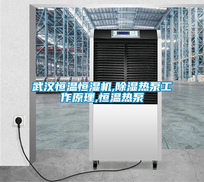武漢恒溫恒濕機,除濕熱泵工作原理,恒溫?zé)岜?></div>
								<div   id=