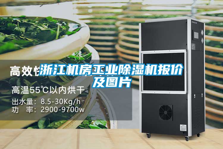 浙江機房工業除濕機報價及圖片