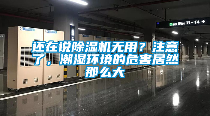 還在說(shuō)除濕機(jī)無(wú)用？注意了，潮濕環(huán)境的危害居然那么大