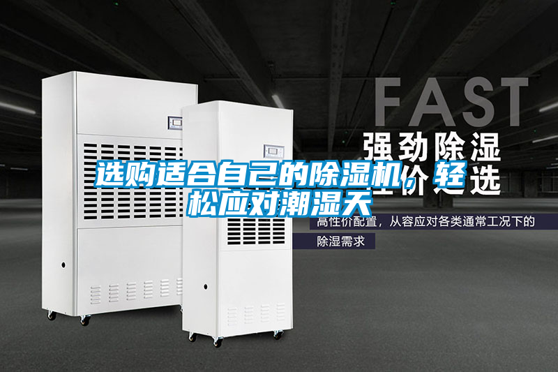 選購適合自己的除濕機，輕松應對潮濕天