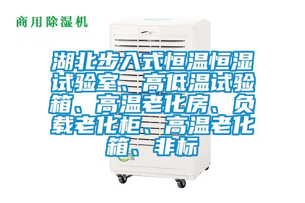 湖北步入式恒溫恒濕試驗室、高低溫試驗箱、高溫老化房、負載老化柜、高溫老化箱、非標
