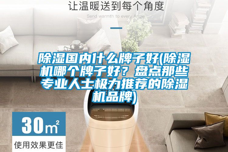 除濕國內(nèi)什么牌子好(除濕機(jī)哪個牌子好？盤點(diǎn)那些專業(yè)人士極力推薦的除濕機(jī)品牌)