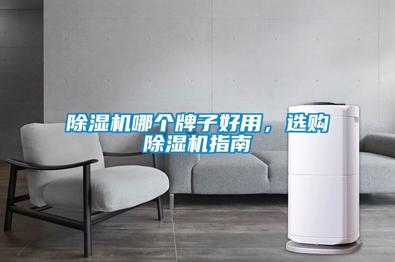 除濕機哪個牌子好用，選購除濕機指南
