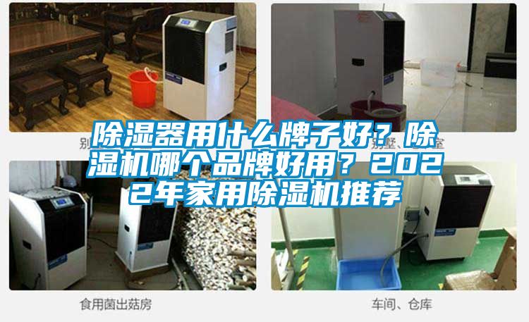 除濕器用什么牌子好？除濕機(jī)哪個品牌好用？2022年家用除濕機(jī)推薦