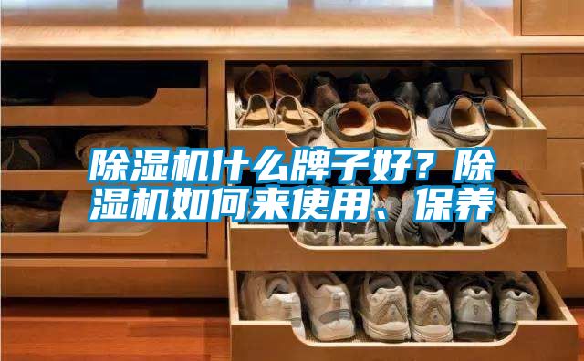 除濕機什么牌子好？除濕機如何來使用、保養