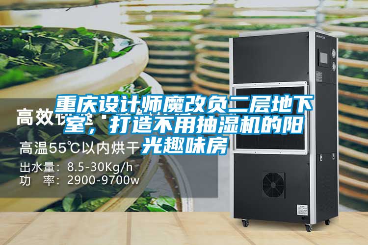 重慶設(shè)計(jì)師魔改負(fù)二層地下室，打造不用抽濕機(jī)的陽(yáng)光趣味房