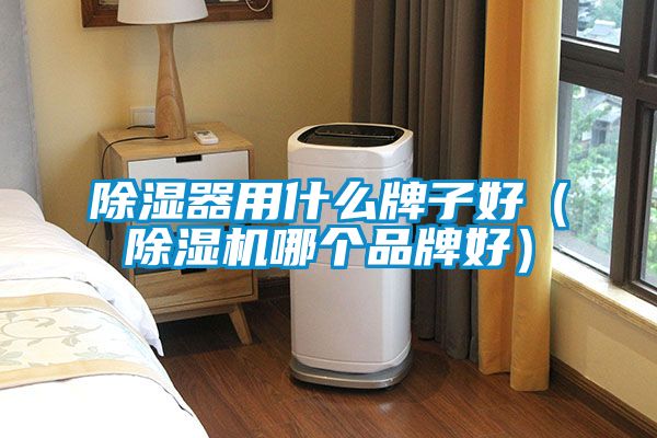 除濕器用什么牌子好（除濕機(jī)哪個品牌好）