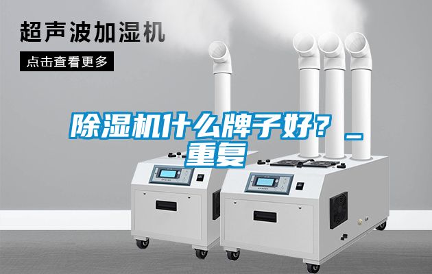 除濕機什么牌子好？_重復