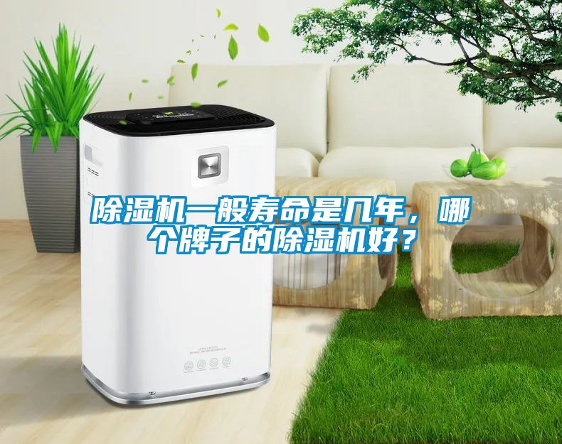 除濕機(jī)一般壽命是幾年，哪個(gè)牌子的除濕機(jī)好？