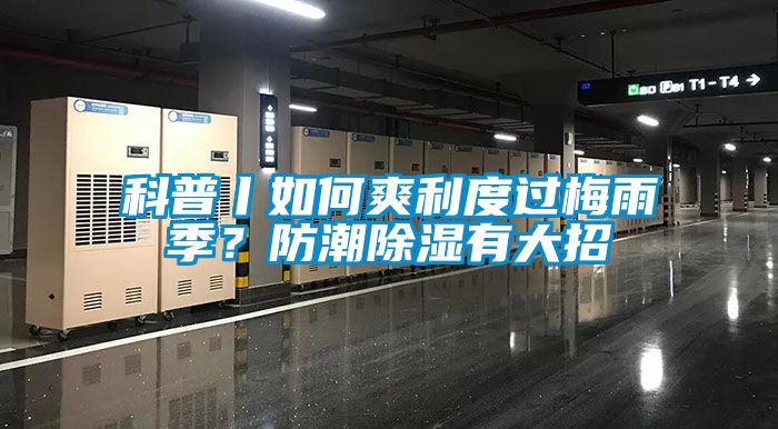 科普丨如何爽利度過(guò)梅雨季？防潮除濕有大招