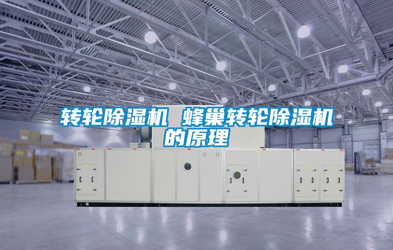 轉(zhuǎn)輪除濕機 蜂巢轉(zhuǎn)輪除濕機的原理