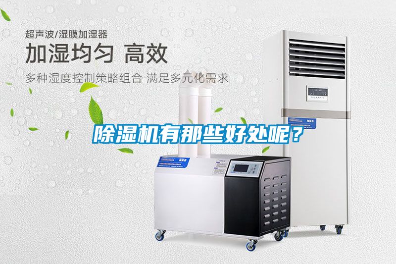 除濕機(jī)有那些好處呢？