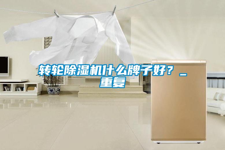 轉輪除濕機什么牌子好？_重復