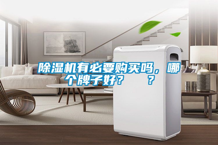 除濕機有必要購買嗎，哪個牌子好？  ？