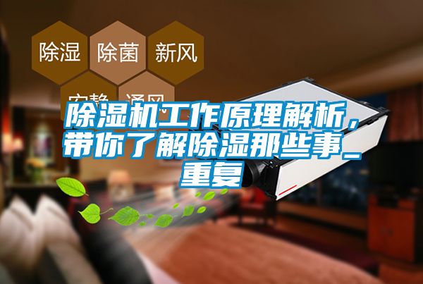 除濕機工作原理解析，帶你了解除濕那些事_重復