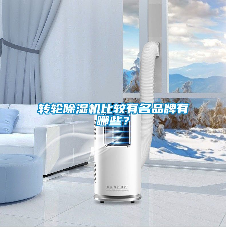 轉(zhuǎn)輪除濕機(jī)比較有名品牌有哪些？