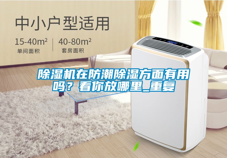 除濕機(jī)在防潮除濕方面有用嗎？看你放哪里_重復(fù)