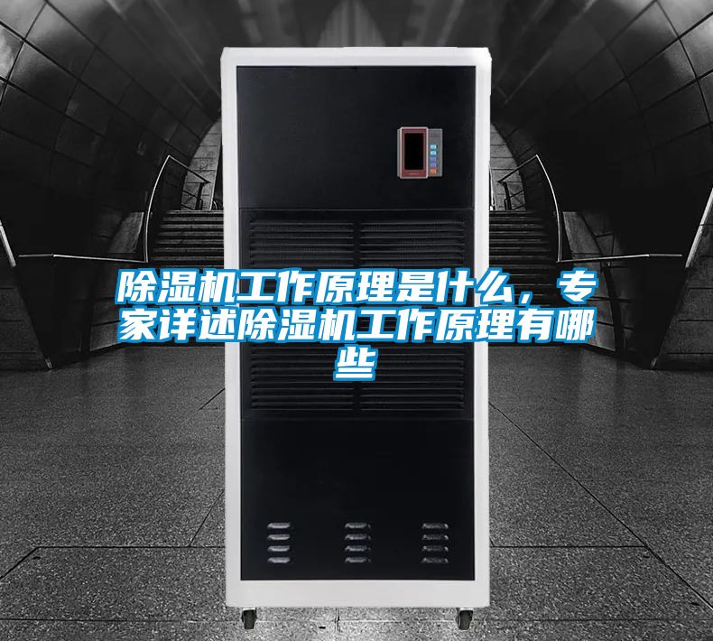 除濕機工作原理是什么，專家詳述除濕機工作原理有哪些
