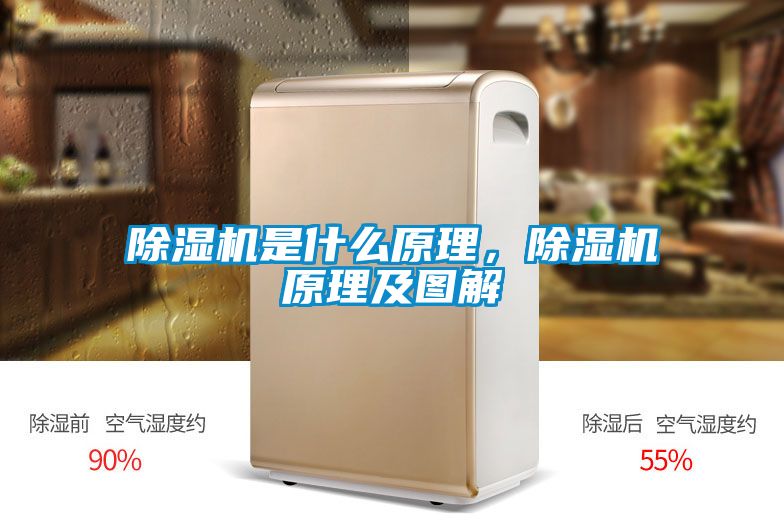除濕機(jī)是什么原理，除濕機(jī)原理及圖解