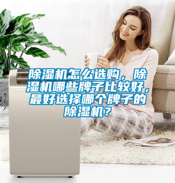 除濕機怎么選購，除濕機哪些牌子比較好，最好選擇哪個牌子的除濕機？